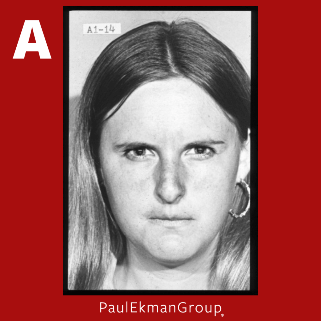 Facial Expression Test Quiz Paul Ekman Group